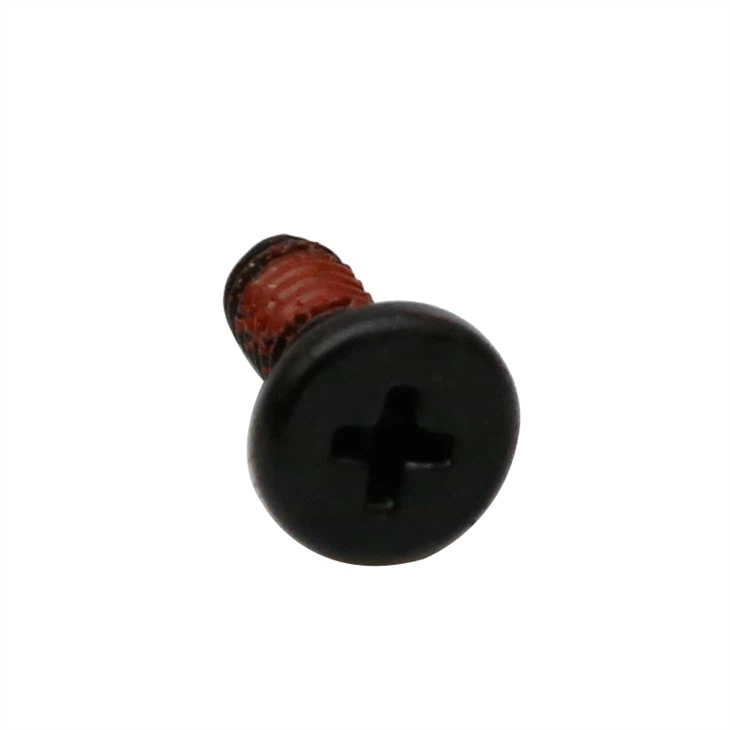 Black phillips small laptop screw