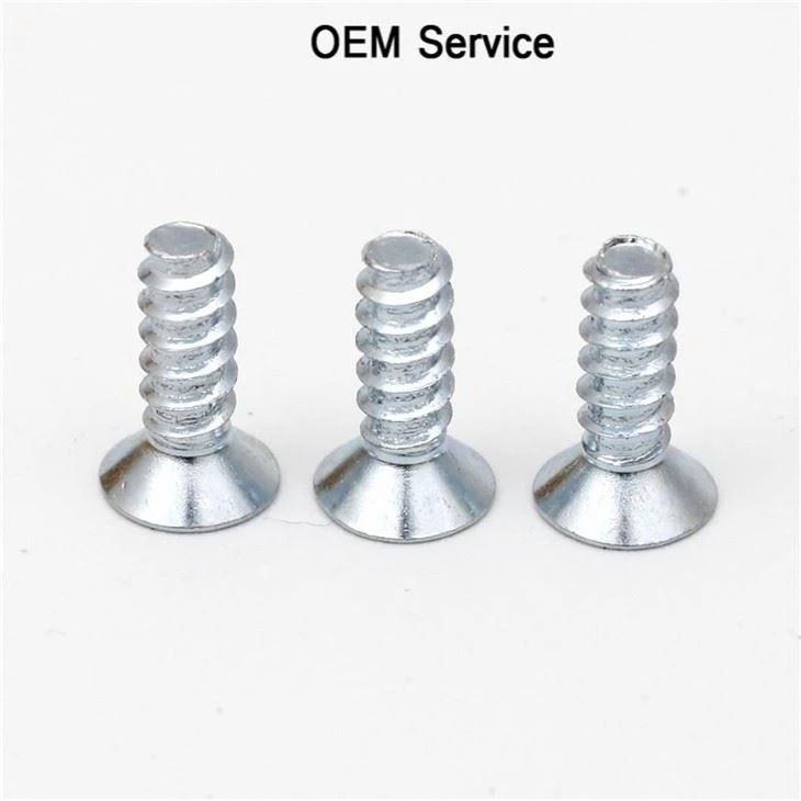 Small Stainless Steel Phillip Blue Zinc Screw