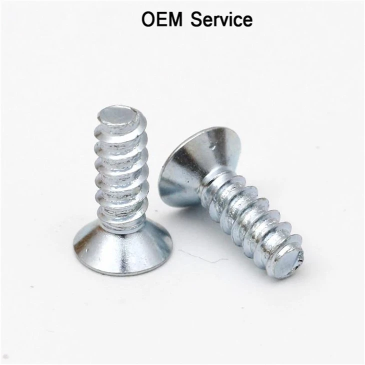 Small Stainless Steel Phillip Blue Zinc Screw