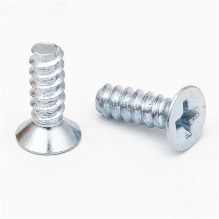 Small Stainless Steel Phillip Blue Zinc Screw