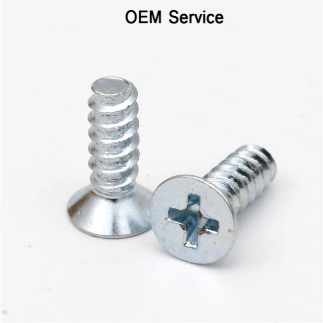 Small Stainless Steel Phillip Blue Zinc Screw